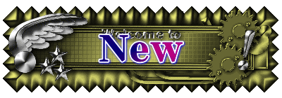 New